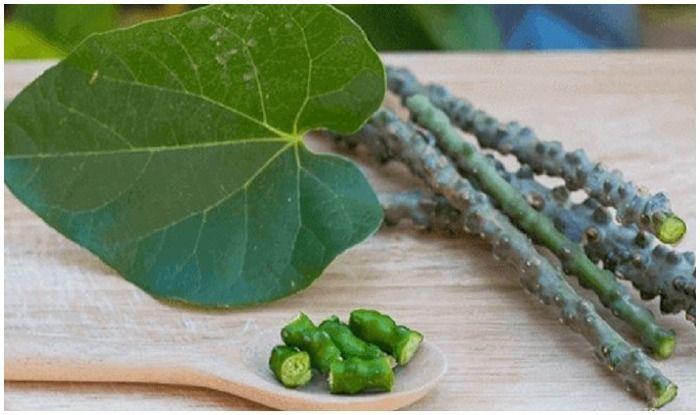 Can Giloy Cause Liver Damage? Ayurvedic Experts Refutes Claims Linked to  This Herb