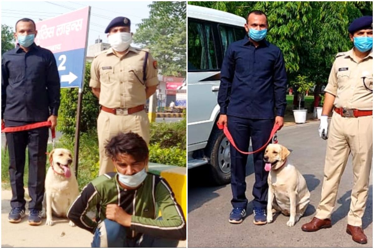 Ghaziabad Police Dog Leena Helps Catch Murder Suspects, Gets New ...