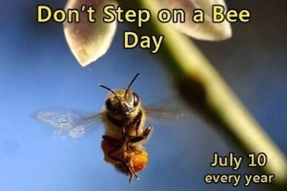 Do Not Step On A Bee Day Why This Day Is An Important Reminder To All