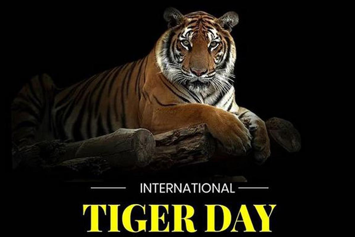 Global Tiger Day 202 … Dela Monika