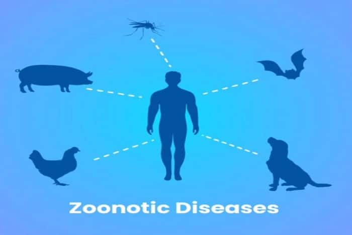 World Zoonoses Day 2020: What is Zoonosis And How Does The Infectious ...