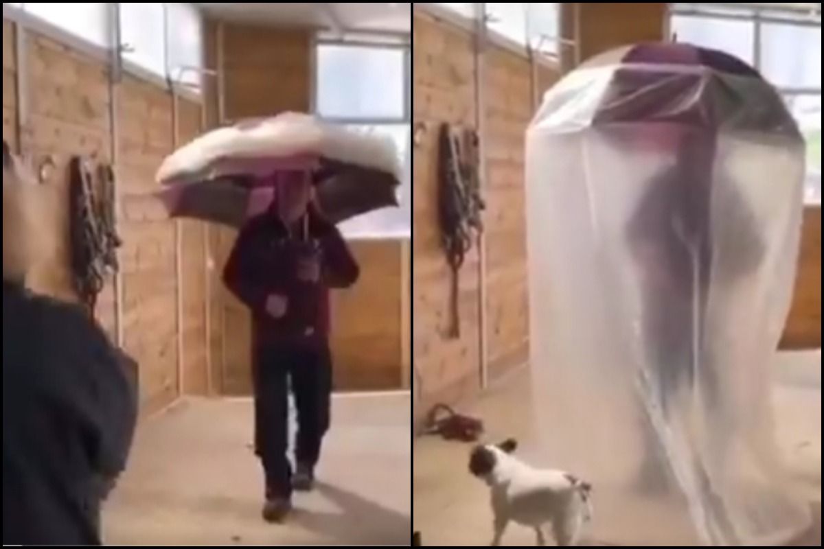 uses of umbrella in hindi