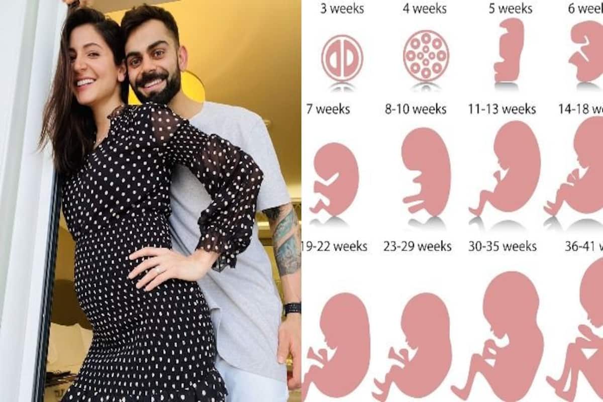 Expect months at pregnant what 5 to 5 Months