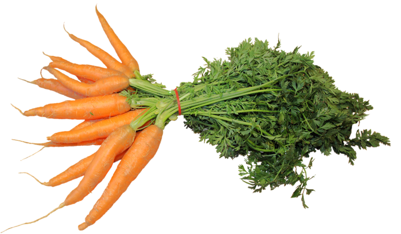Carrot