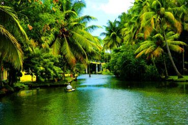 Kerala To Welcome Tourists From Early October Here Are Top 5 Destinations For Your Trip To God S Own Country