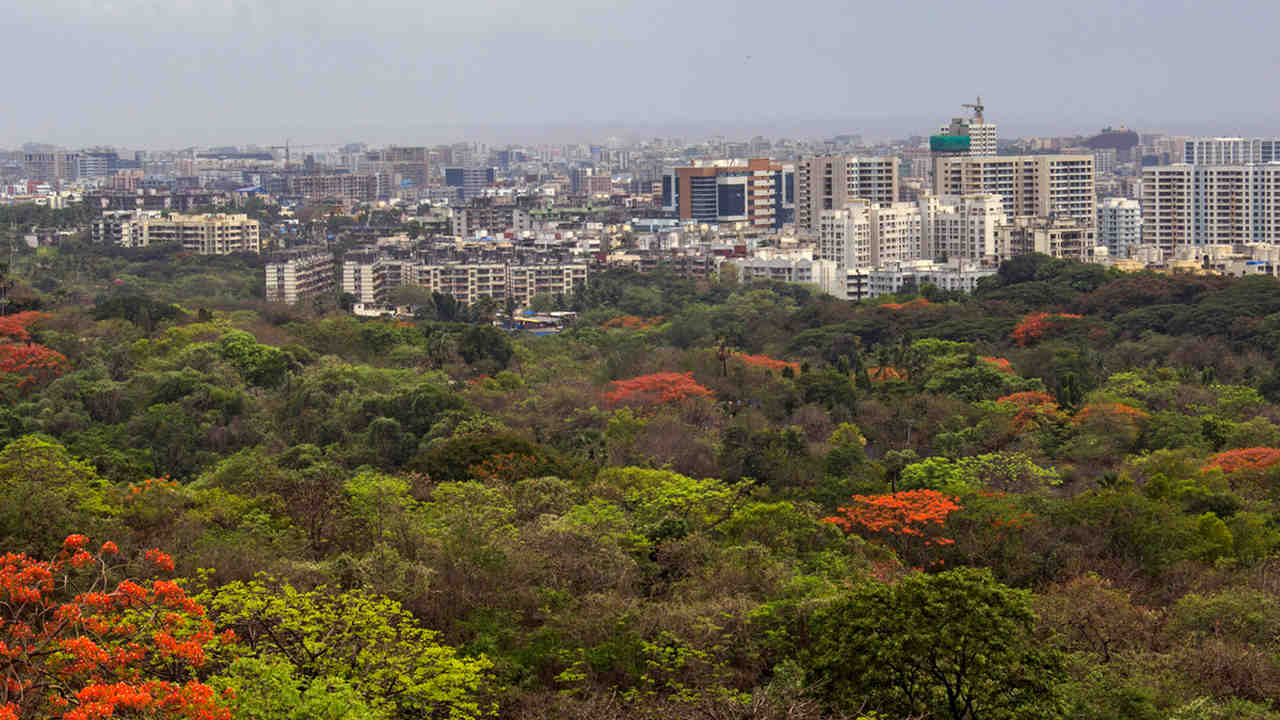 Mumbai's Aarey Declared a Forest; Metro Car Shed Project to be Relocated to Kanjurmang