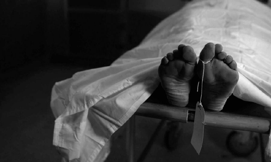Delhi Woman, Brain Dead, Saves Life of 3 Other Patients