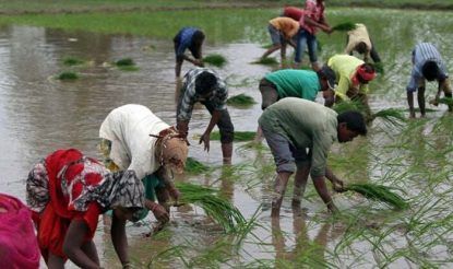 PM Kisan Samman Yojana - - Pm kisan samman yojana these farmers will not get the benefits of pm kisan