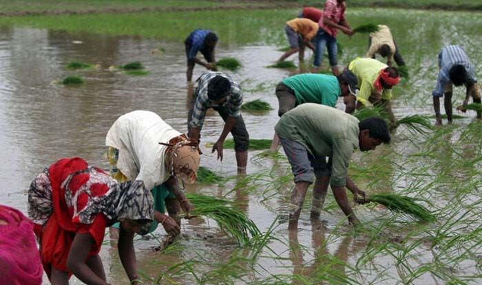 PM Kisan Samman Nidhi Yojana: Farmers Must Submit These Documents to Avail Benefits of The Scheme | Full List Here