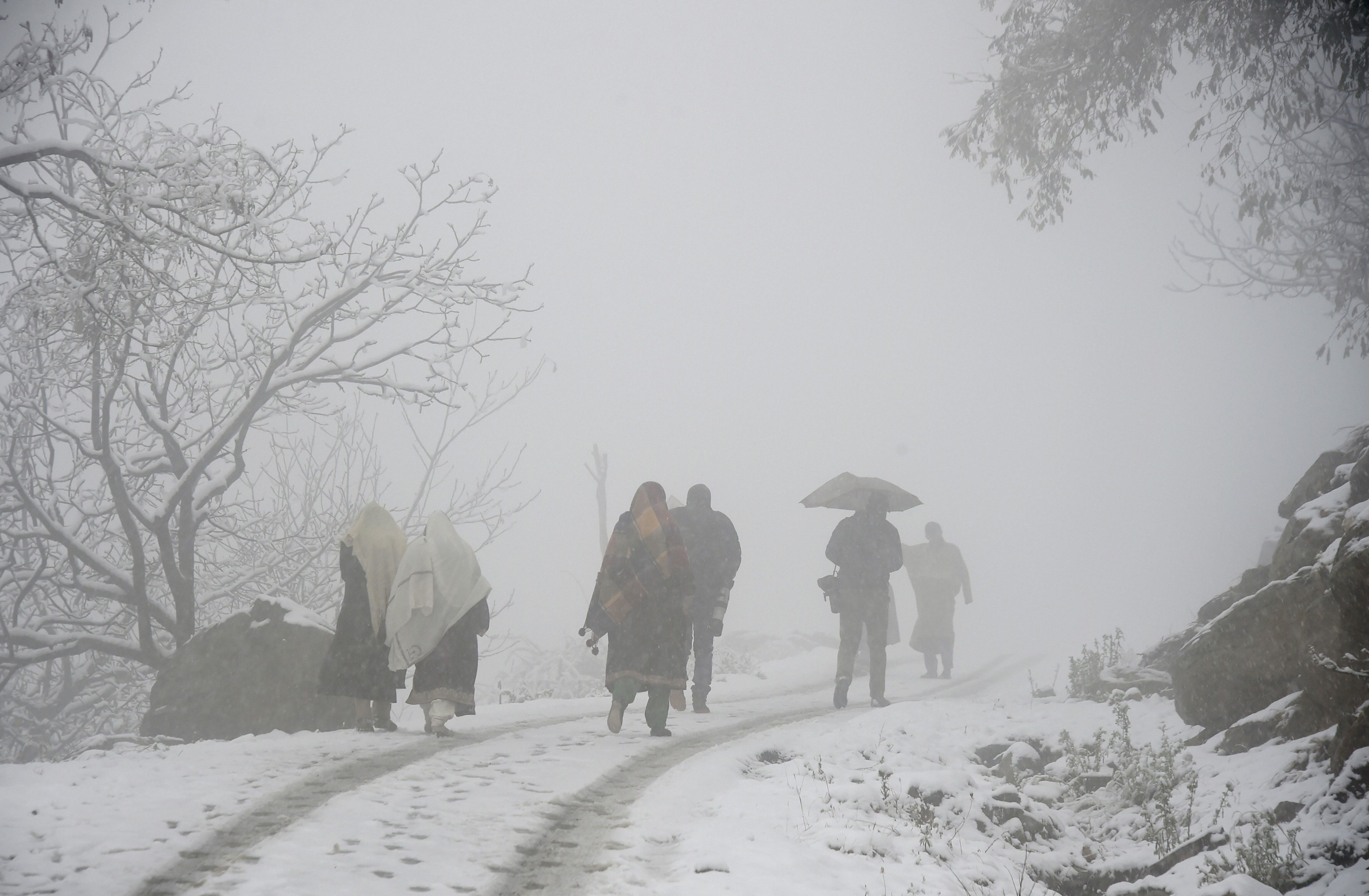 Cold Conditions Prevail in North India, Heavy Rains Likely in Southern