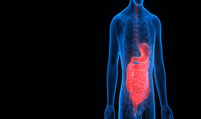 People With Inflammatory Bowel Disease Likely to Die Early