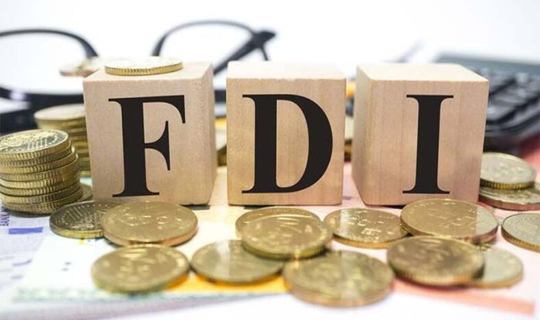 FDI News: विदेशी निवेशकों ने नवंबर में अभी तक शेयर बाजार में किया 49,553 करोड़ रुपये का निवेश