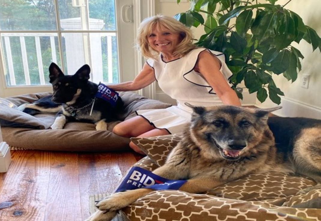 Return of The Pets to White House: Meet The Future First Dogs of US - Champ and Major Biden