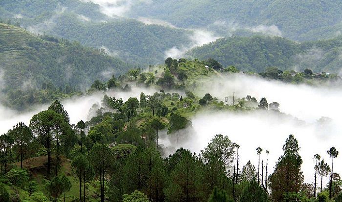 Uttarakhand Allows Fishing-Angling Again - All You Need to Know About Norms And Restrictions