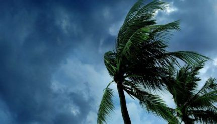 Year's First Cyclone 'Tauktae' Forming Over Arabian Sea, Likely To  Intensify Further, Says IMD