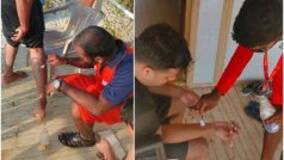 Beachgoers Beware! Goa Beaches Invaded By Jellyfish Swarms, Sting Over 90 People In Just 2 Days