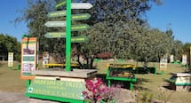 Chandigarh to get another landmark 'Museum of Trees' on Guru Nanak Jayanti