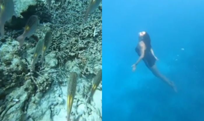 सोनाक्षी सिन्हा बनीं जलपरी, समंदर के अंदर मछलियों के साथ रेस लगा रही हैं 'दबंग गर्ल, SEE VIRAL VIDEO 