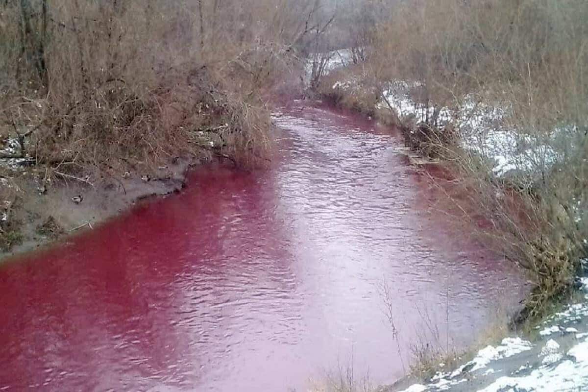 Seeing a red river in the middle of a gold mine, people thought it was a river of blood, but the truth is something different!