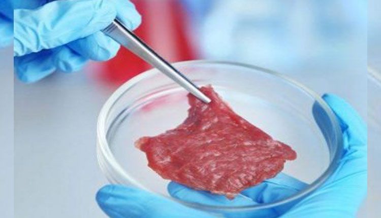No More Killing Animals? Singapore Becomes First Country to Approve Sale of Lab-Grown Meat