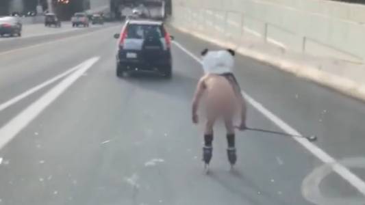WATCH: Naked Man Wearing Panda Head Seen Rollerblading On 