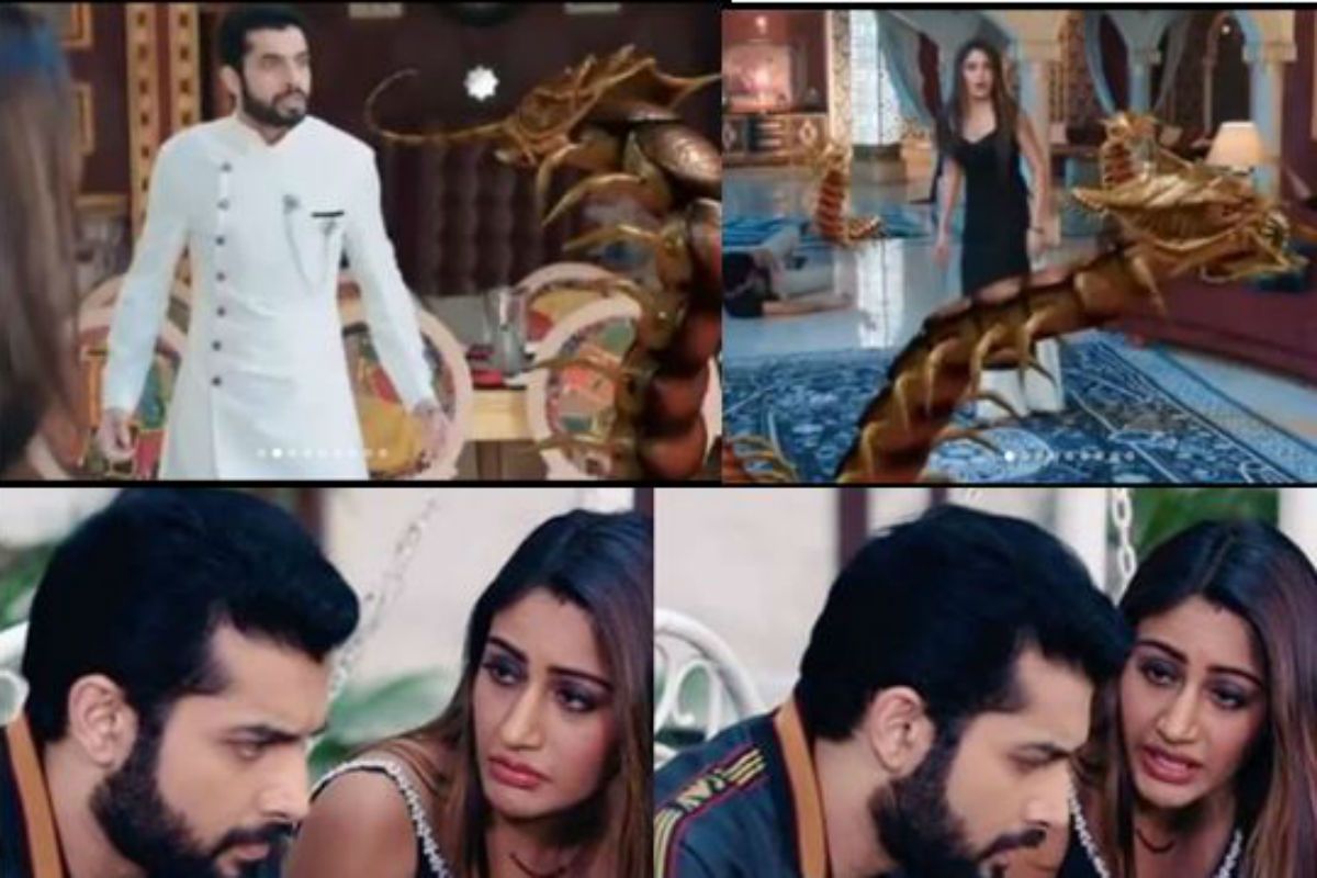 Naagin 5 Written Episode, 27 December: Bani Fights With Centipede to