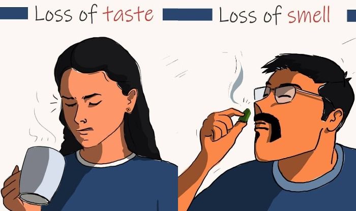 how to get your smell and taste buds back