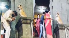 Best Viral Video on Internet Today: मंदिर में दर्शन करने आने वाले श्रद्धालुओं को कुत्ता दे रहा है ‘आशीर्वाद’, भक्तों ने सिर झुका कर किया नमन