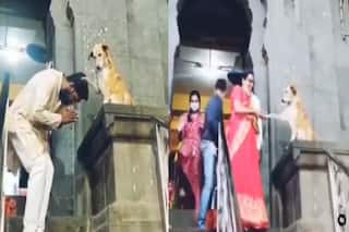 Best Viral Video on Internet Today: मंदिर में दर्शन करने आने वाले श्रद्धालुओं को कुत्ता दे रहा है 'आशीर्वाद', भक्तों ने सिर झुका कर किया नमन
