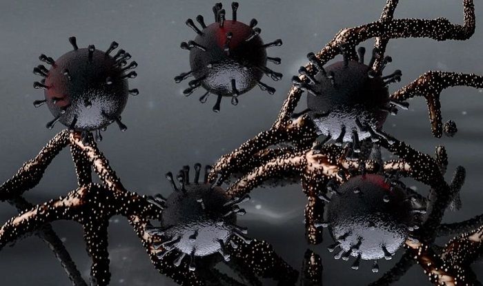 Corona Virus India Latest Update: दिल्ली-महाराष्ट्र सहित कई राज्यों में  कोरोना के नए चौंकाने वाले आए सामने, सुरक्षा ही बचाव - Corona virus india  latest update high number of ...