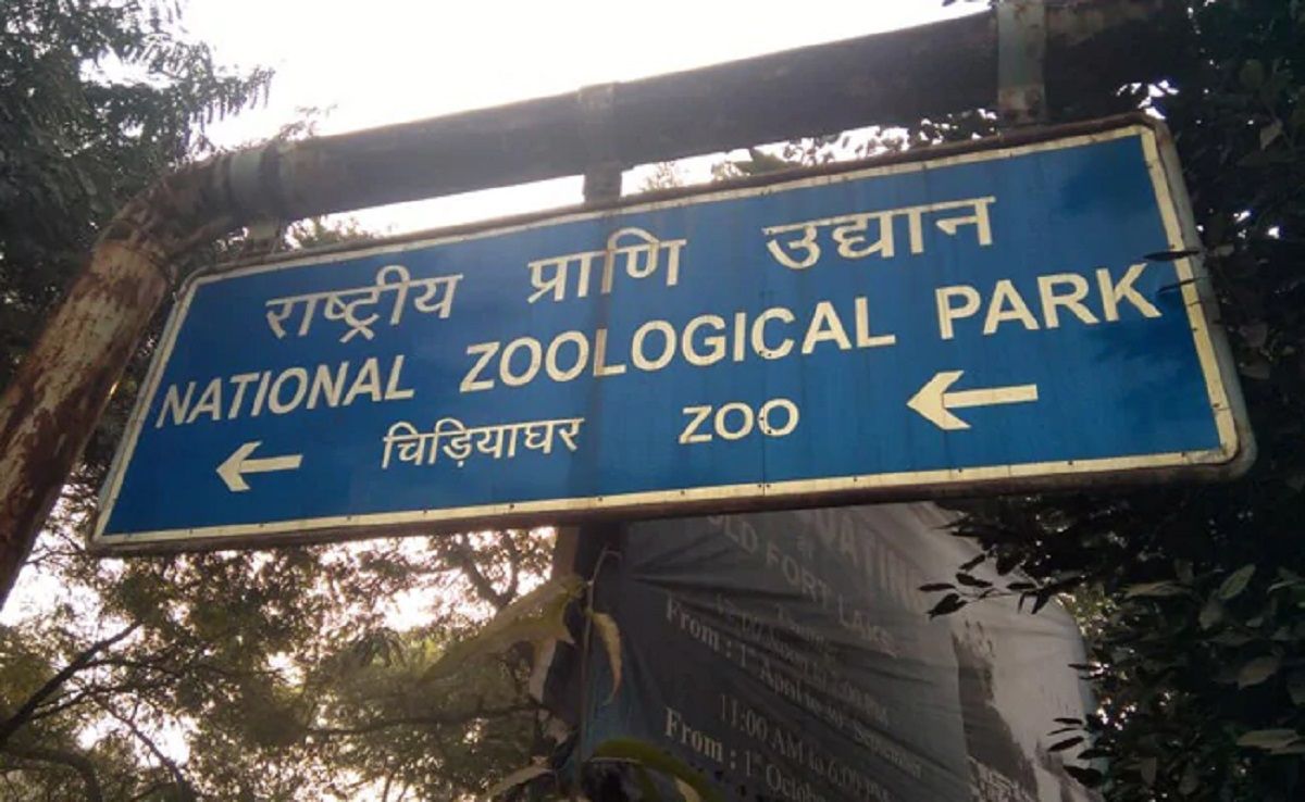 Delhi Zoo to Repen From August 1 in 2 Shifts. Timings And Other Details Inside