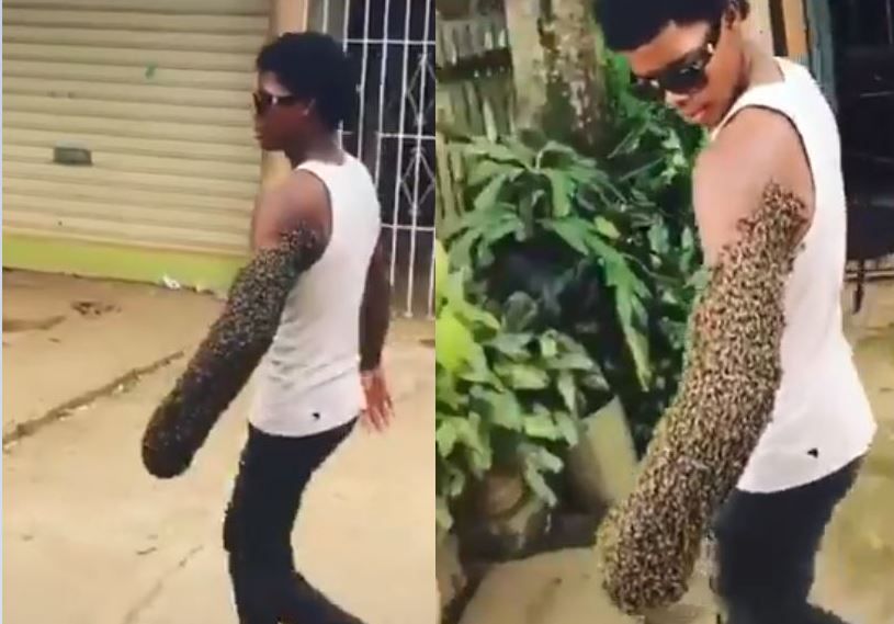 Man Transports an Entire Bee Colony By Carrying Them on His Arm, Netizens Wonder if He has 'Super Power' | Watch