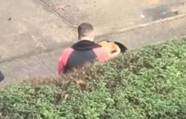 Caught on Camera: Delivery Driver Cancels Food Order & Eats it Outside Customer's House | Watch