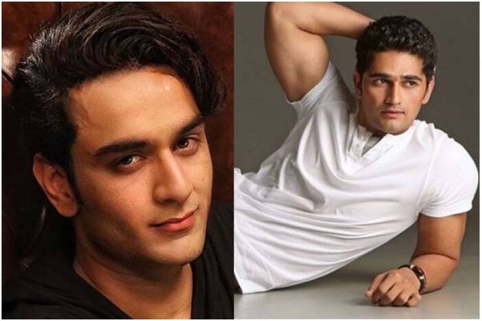 vikas Gupta used to call vikas khoker at his place to give massage, shocking things about vikas gupta, bigg boss 14 vikas gupta, roadies 9 winner vikas khoker, tv news, shocking news