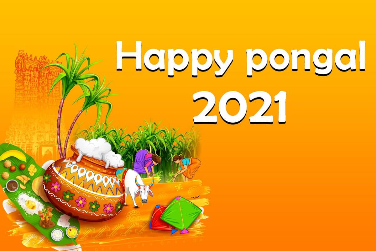 Pongal 2021: Top Wishes, Quotes, Whatsapp Greetings, SMS To Share ...