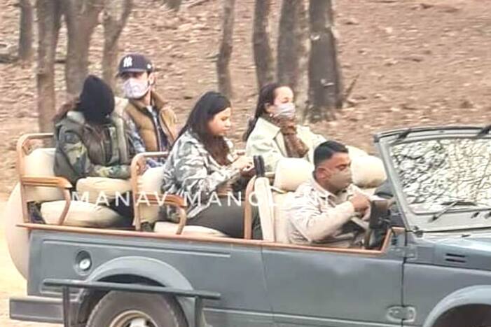 Ranbir Kapoor-Alia Bhatt go For a Wildlife Safari in Ranthambore, Here's The Latest Viral Picture