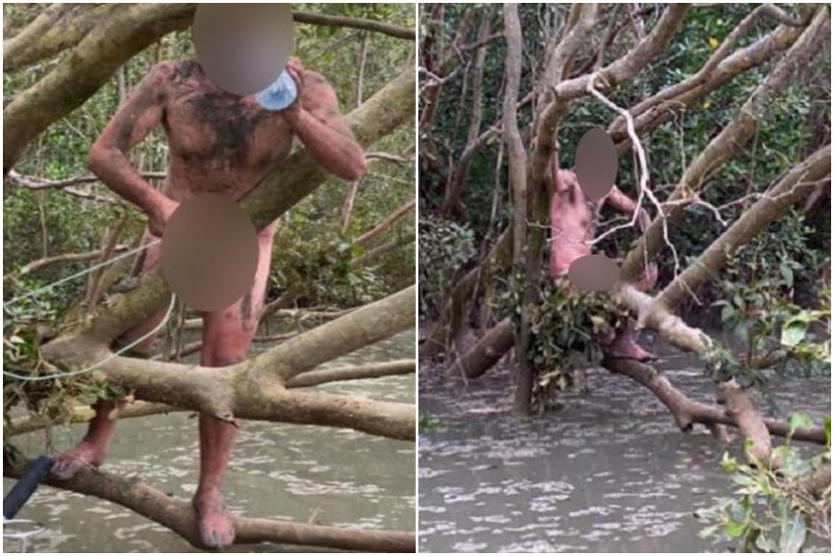 Naked Man Rescued From Crocodile-Infested Waters in Australia, Ate Snails to Survive | Watch
