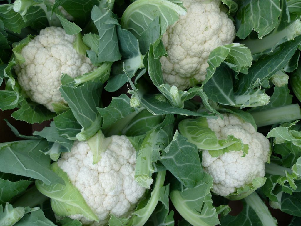 Cauliflower ₹1/Kg Upset UP Farmer Throws 10 Quintals of Produce For