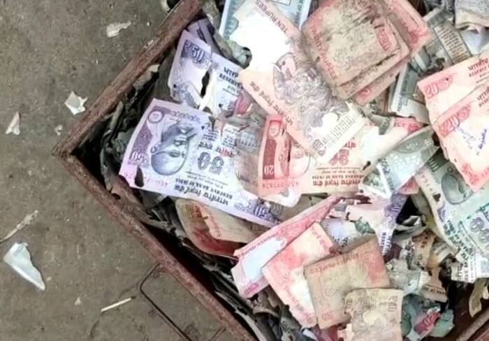 Man Loses Life Savings As Termites Eat Cash Worth Rs 5 Lakh Stored in Iron Trunk