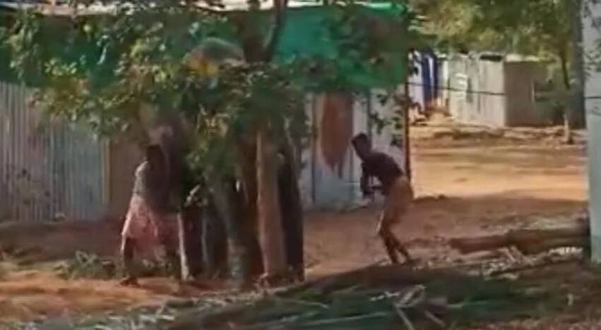 The elephant, said to be from Srivilliputhur temple, was tied to a tree and being hit, the video reveals.