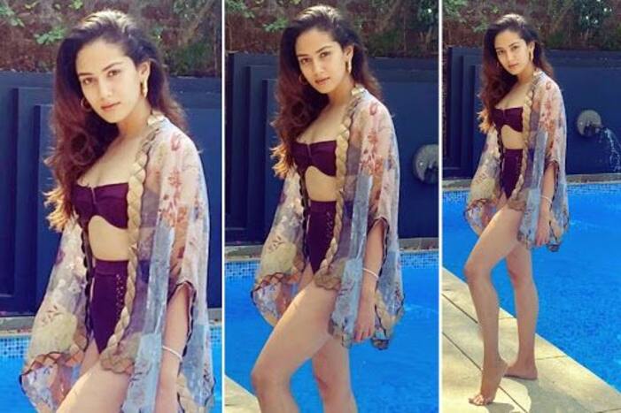 Shahid Kapoor's Wife Mira Rajput Stuns in a Bikini, Fans Call Her 'Hot Mama'