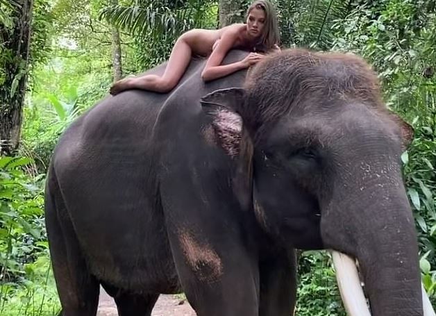 A social media influencer has sparked online outrage after she posed naked on top of an endangered Sumatran elephant.