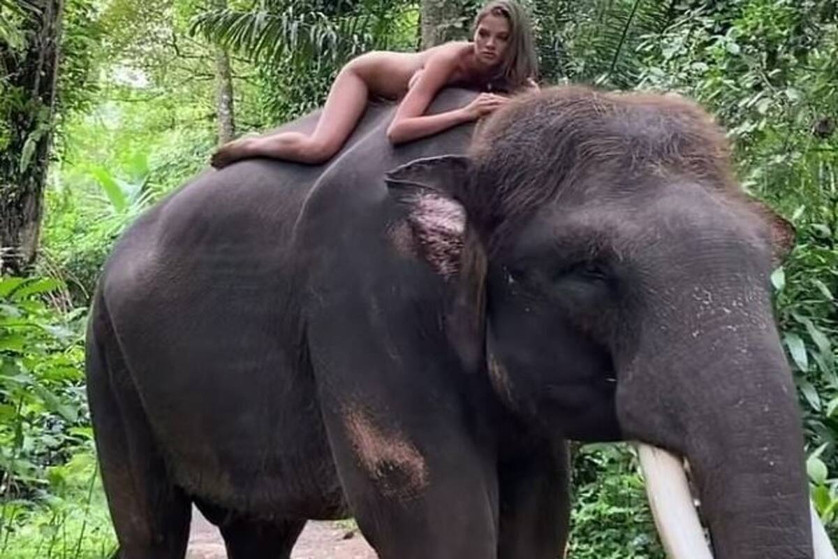 Instagram Influencer Poses Naked on an Endangered Sumatran Elephant in  Bali, Triggers Outrage