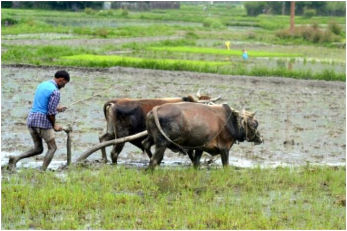 Kisan Credit Card