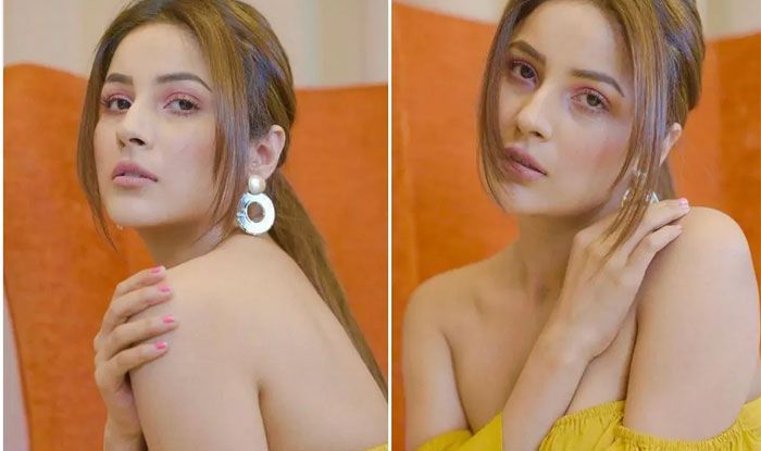 Shehnaaz Gill Hot Pics, off shoulder dress, yellow dress, viral pics,Shehnaaz Gill latest photoshoot, Entertainment News today, Trending News today, bollywood news in hindi