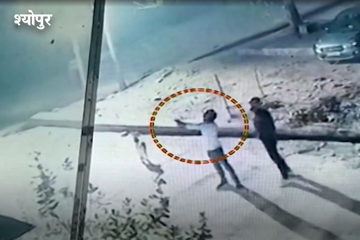 MP Viral Video: व्यापारी के घर पर बेखौफ फायरिंग करते दिखे बदमाश, इलाके में दहशत