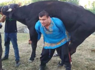 kontroversiel hver gang Ekstraordinær This Man Can Lift a Buffalo on His Shoulders, Internet Calls Him Bheem |  Watch