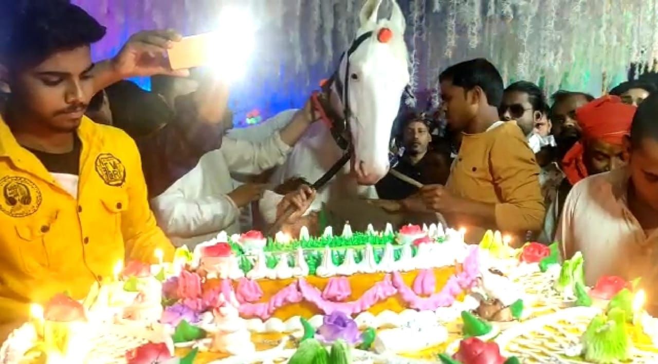 How do You Celebrate a Horse Birthday? Bihar Man Shows The Way
