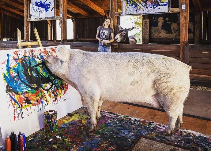 Porker 'Pigcasso' makes £1million painting portraits and abstract  masterpieces - Daily Star