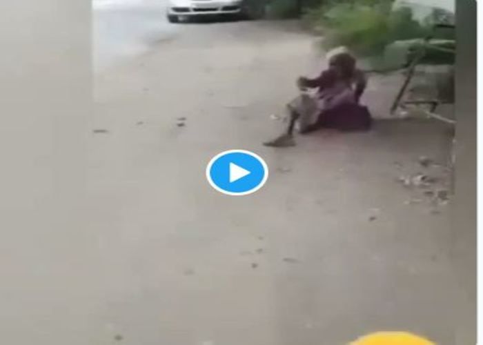 Amma Ka Video Viral: सड़क पर बेसहारा बुजुर्ग महिला को दिया खाना-पानी, रोते हुए देने लगी पोटली से पैसे, लोग बोले- नरक में जाएंगे इसके बच्चे!
